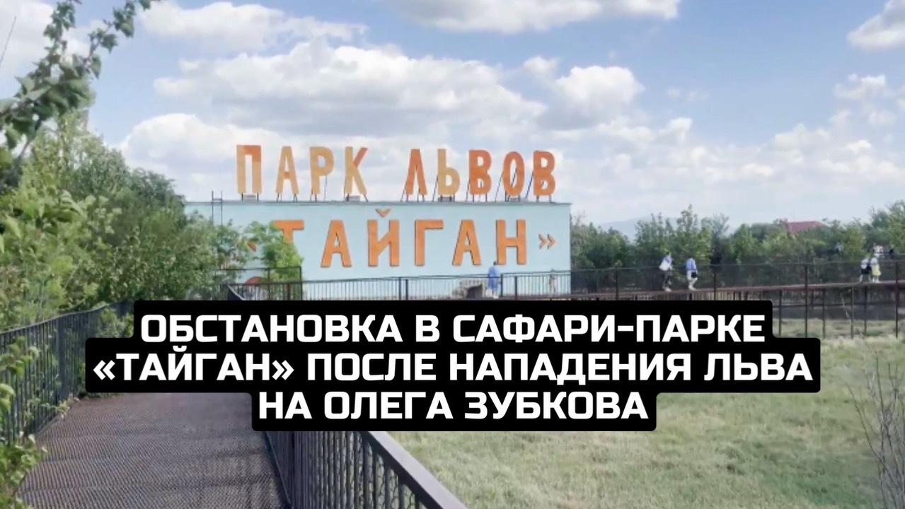 Обстановка в сафари-парке «Тайган» после нападения льва на Олега Зубкова