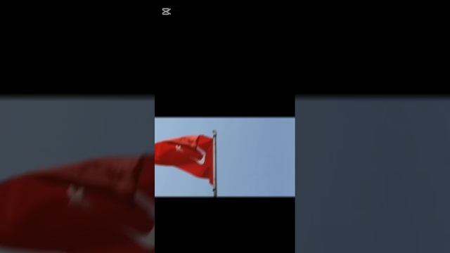 Мы приехали в Турцию едем в аланью(Аланья это город Турции)