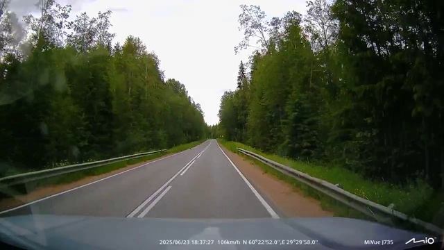 Зверь