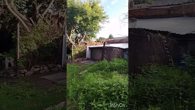 1000034766.mp4