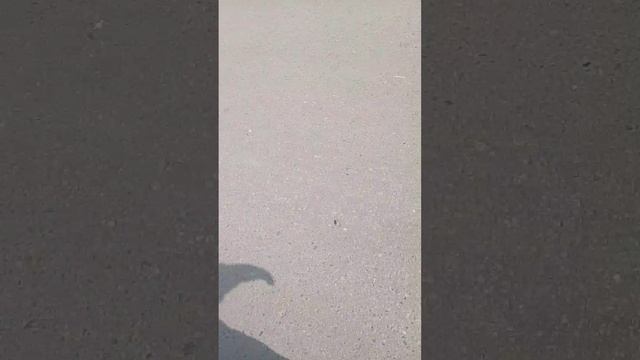 1000001547.mp4