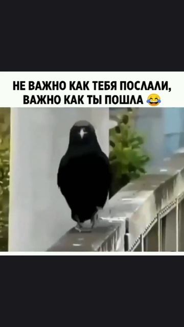 😂😂😂