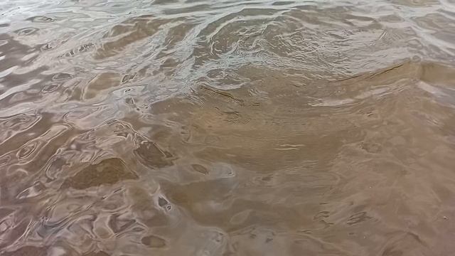 рыбалка Волчихинское водохранилище