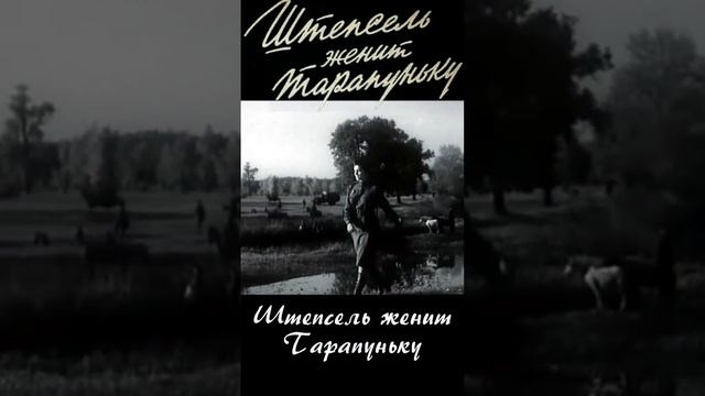 Штепсель женит Тарапуньку 1957   Фрагмент #shortsvideo #shorts  #фильм #кино #кинопоиск #топ
