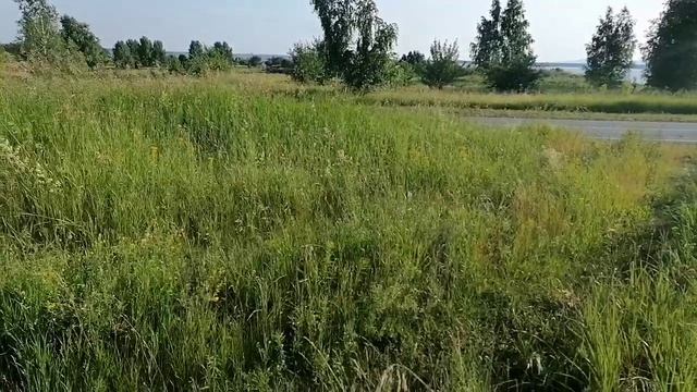 Металлокоп. Покопал вечерком👍👍👍