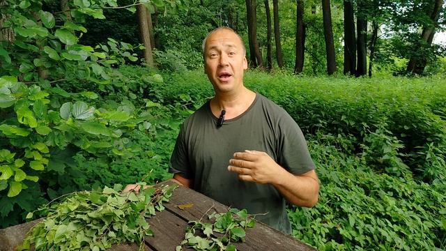 Мф.11:28-30; честь служить Христу