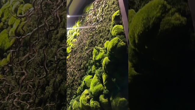 Картина из стабилизированного мха с подсветкой от FlorGazm.ru