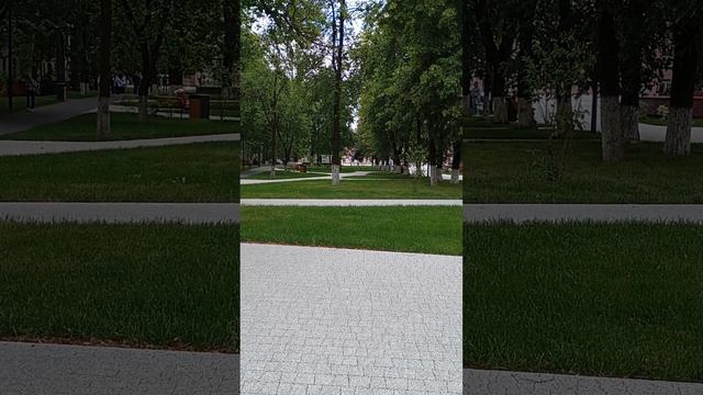 МГУ аспирантура. Как адвокат поступал на бюджет по Уголовному Праву.  Отчет по экзамену.