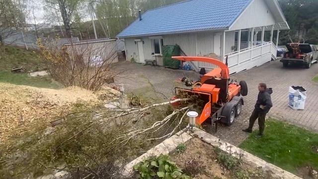 Измельчение целой макушки берёзы