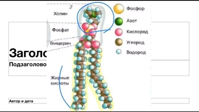 Чудеса всевышнего