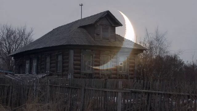 Ветка сирени