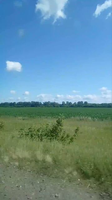 1000009370.mp4