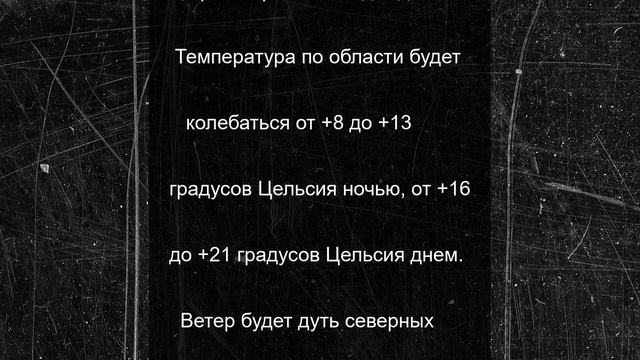 Мокрый четверг ждет псковичей завтра