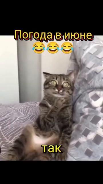 1000212360.mp4