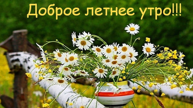 С добрым,летним утром!