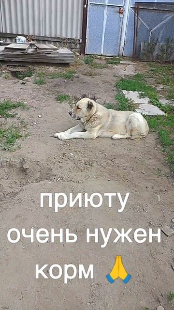 +7985 193 0027