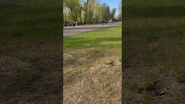 Томск-Красноярск, 2025_20. Татышев