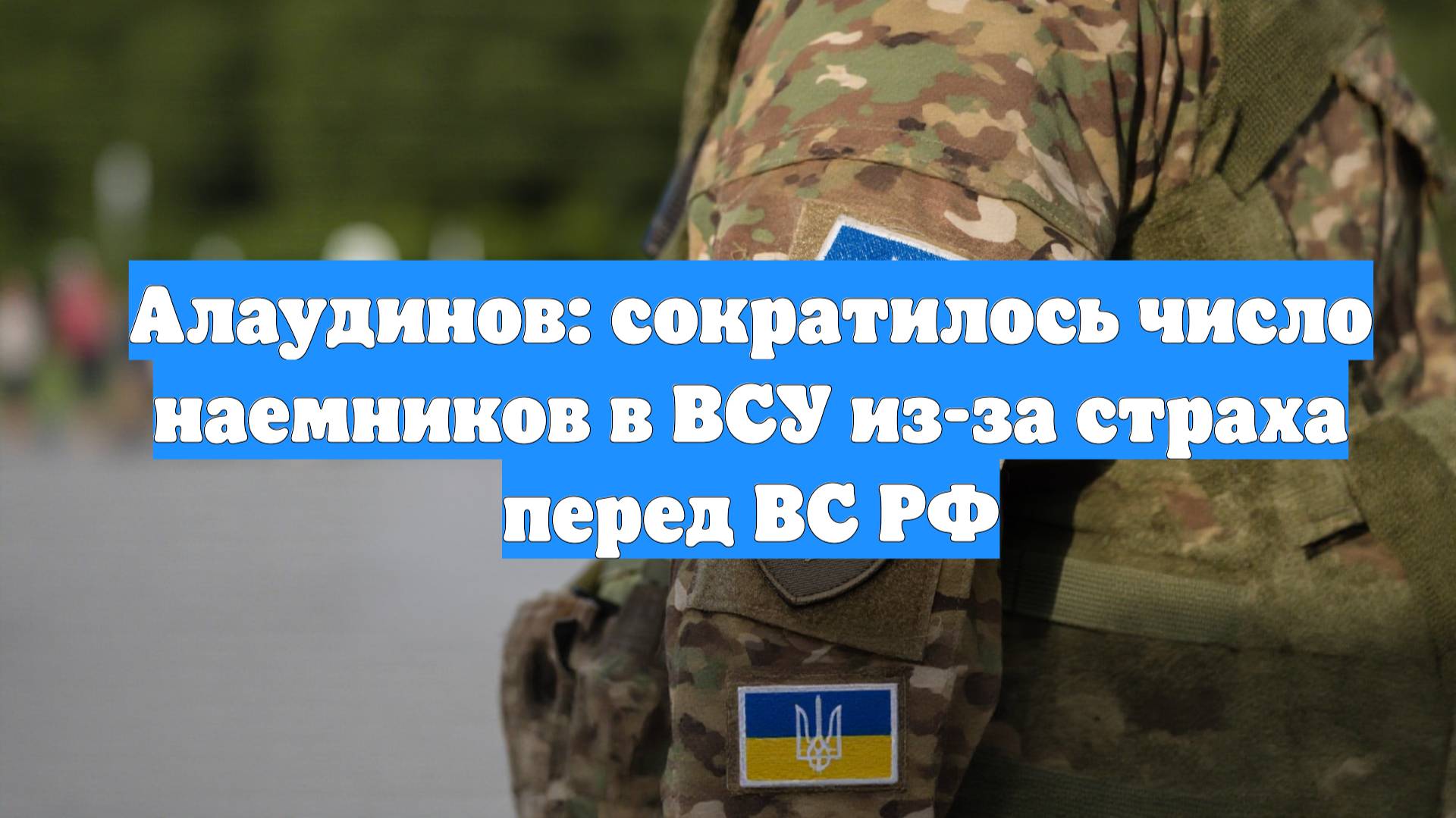 Алаудинов: сократилось число наемников в ВСУ из-за страха перед ВС РФ