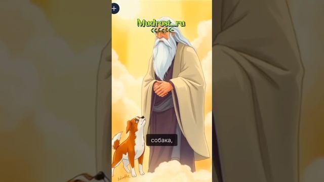 Про жизнь...