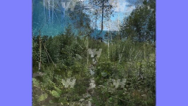 СНТ Дачник