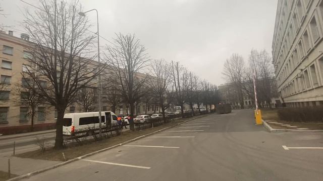 Санитарная и формовочная обрезка лип 2023 год
