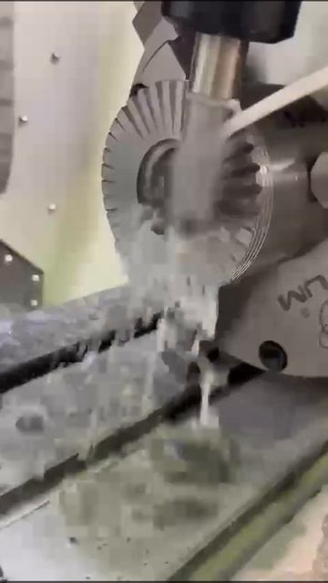 VID-20250131-WA0004