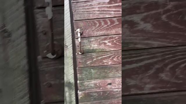 Баня. Обзор