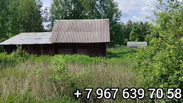 Дачный участок в ВерхнейПышме Свердловской области.mp4