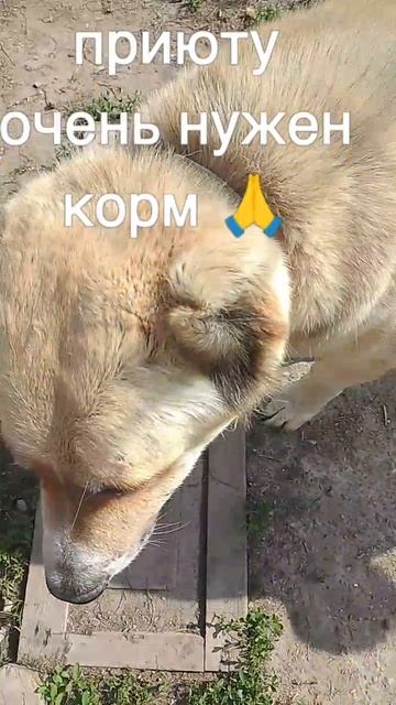 +7985 193 0027