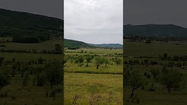 Орлинное.mp4