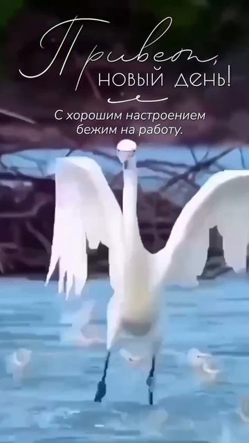 VID_20250625_050938_817.mp4