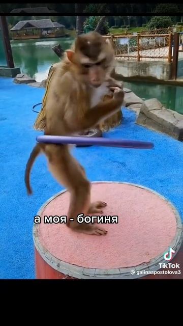 Все бабы как бабы ...

1000017985.mp4