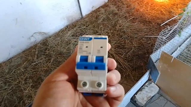25 июня, новоселье у гусят