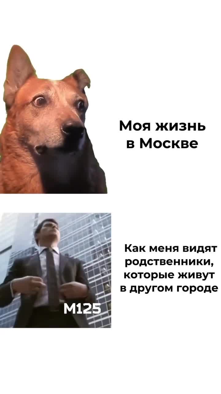 #жизньвмоскве #насамомделе : #Москва #жиза #жизненно #прикол #мем #топ