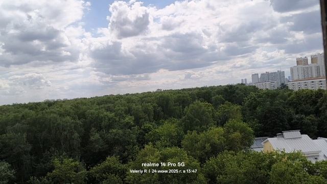 Лесопарк Лосиный остров 🌳🌲🌳🌲 24.06.2025