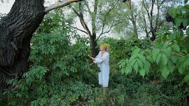 Анжелика Рута - "Не бывает рута красной" (клип)