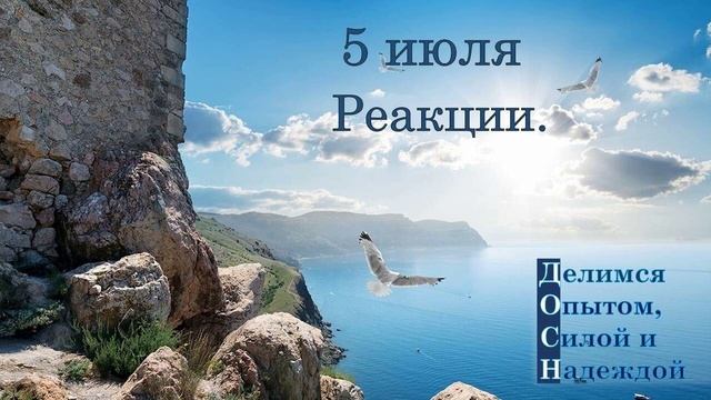 5 июля. Реакции.