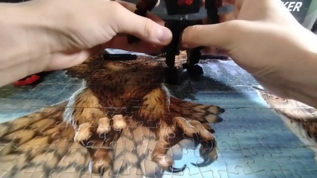 1000004774.mp4