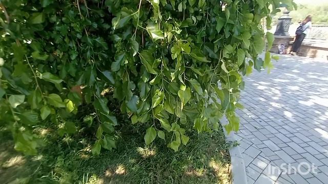 Я В ДОНЕЦКЕ!!!!МЕСТО ГДЕ МОЖНО ОТДОХНУТЬ ДУШОЙ!!!