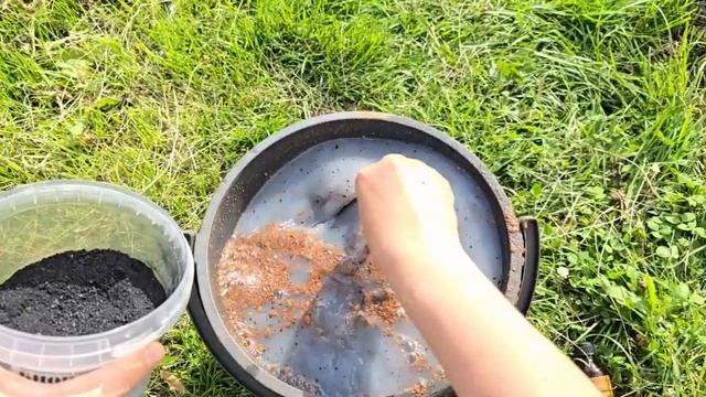 УНИКАЛЬНЫЙ СПОСОБ ИЗБАВИТЬСЯ ОТ ВЕРШИНКИ, КЛАДОСПОРИОЗА, ФИТОФТОРЫ И ГНИЛЕЙ! СЕКРЕТ ПОДДЕРЖКИ ЗАВ...