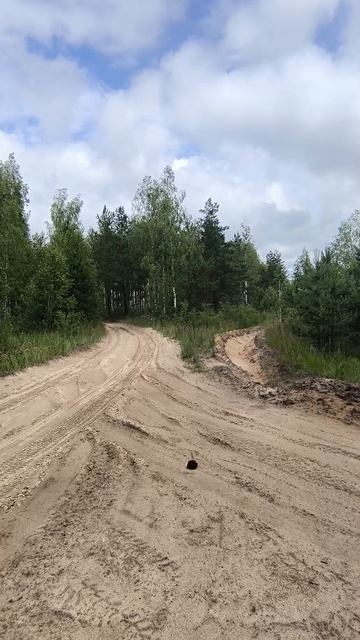 25-06-2025