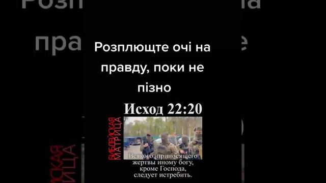 VID_20250502_230454_873.mp4