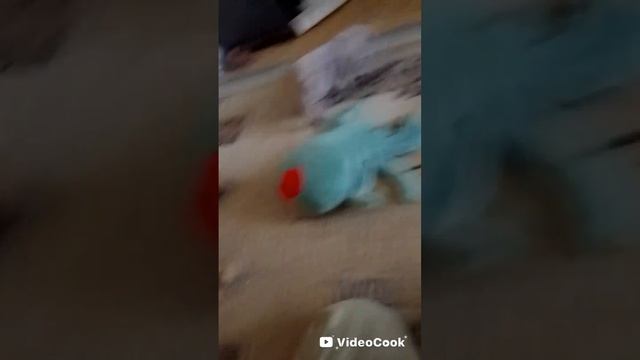 милый котик 1серия 4 сезона (1 часть)