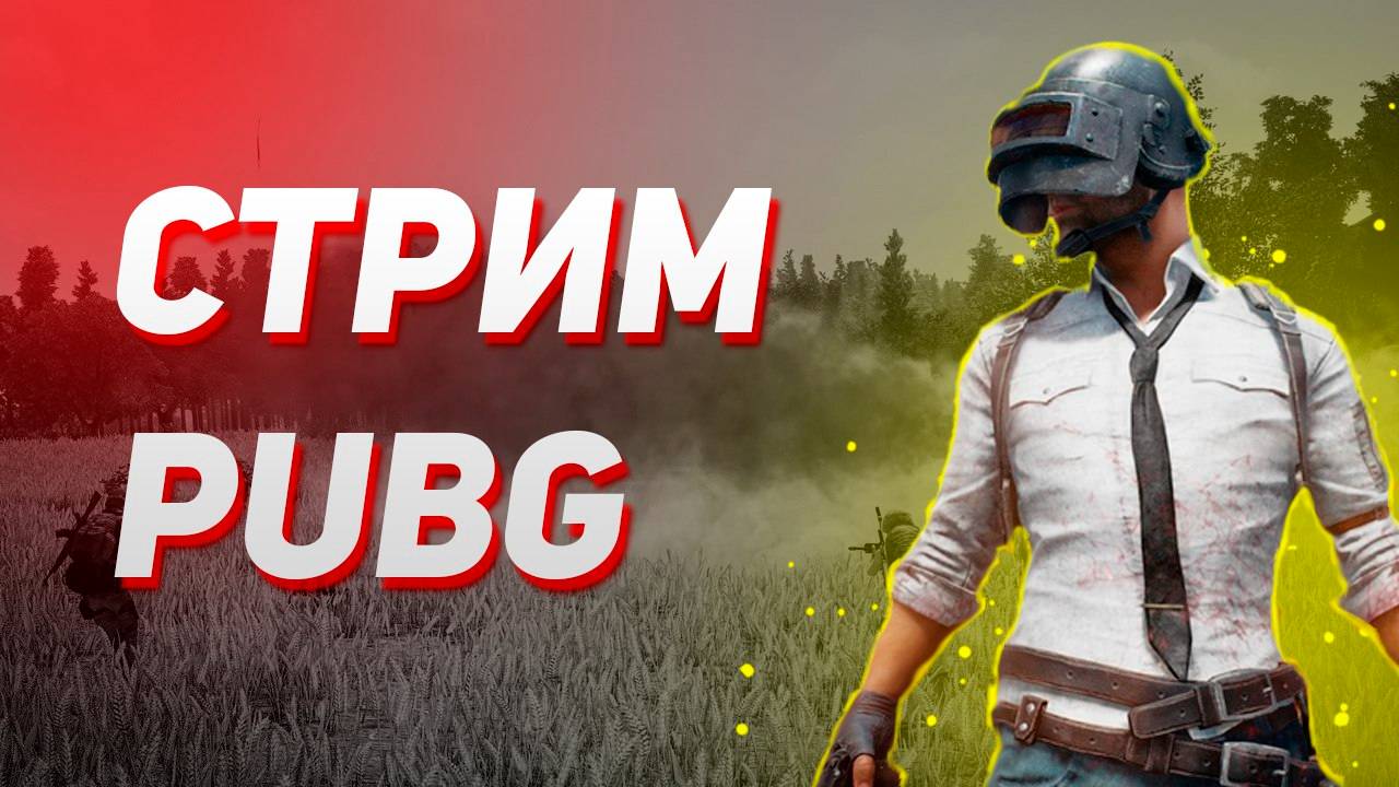 Стрим PUBG Играем Бро!