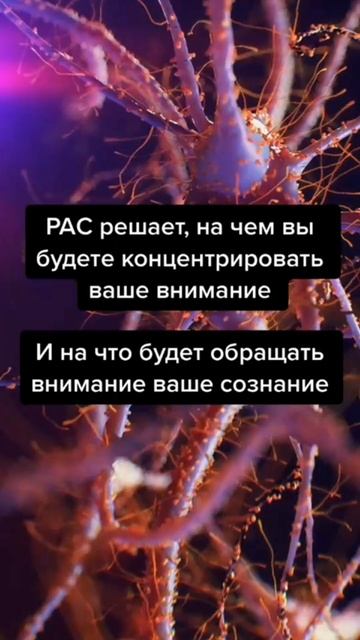 🌈Друзья, подписывайтесь!💥