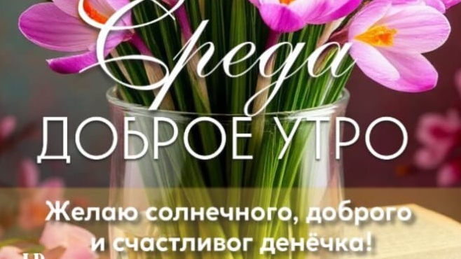 Что день грядущий приготовил?🤔🌿✨