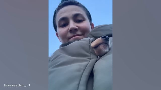 Нет Друга - Нет Проблем Когда У Тебя Есть Собака!