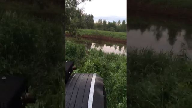 1000037768.mp4