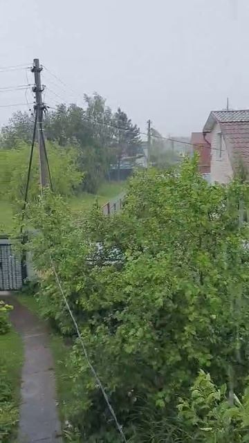 Опять ливень пронёсся по Подмосковью