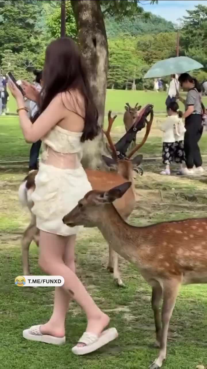 Удобная чесалка🤣